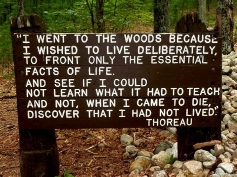 Henry Thoreau Walden Quotes. QuotesGram