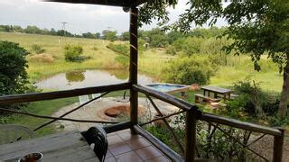 Lion Park Accommodation | Secure Your Hotel, Self-Catering, or Bed and Breakfast Booking Now!