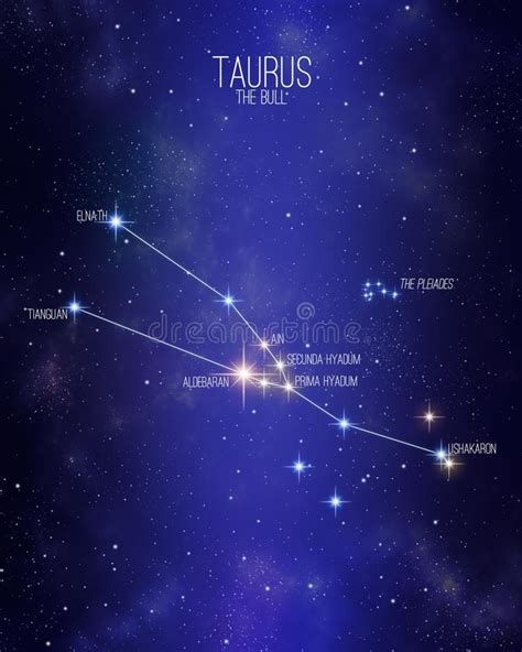 Taurus the bull zodiac constellation map on a starry space background ...