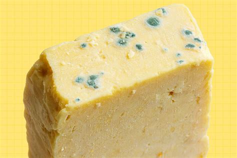 Can You Eat Cheese If It Has Mold on It?