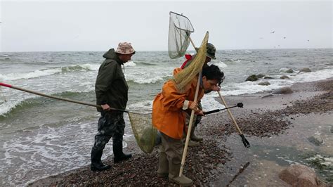 Hunting amber in the Baltic Sea – almost a spiritual experience we ...