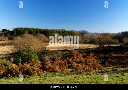 Llantrisant Common, Rhondda Cynon Taf, South Wales Valleys, Wales Stock Photo - Alamy