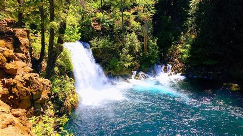 McKenzie River Trail Multi Trail - Eugene, Oregon