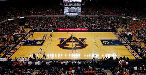 Auburn basketball live updates: Scores, highlights, analysis