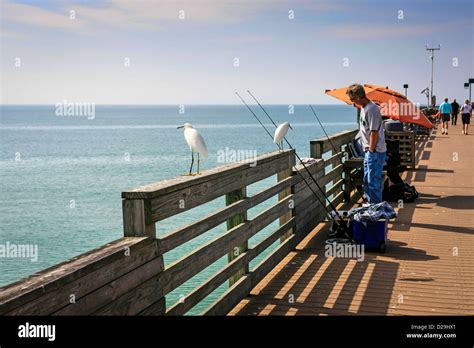 People fishing off Venice Beach Pier in Florida Stock Photo, Royalty Free Image: 53072041 - Alamy