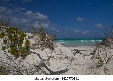 226 Playa Pilar Beach Images, Stock Photos & Vectors | Shutterstock