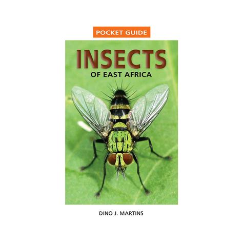Pocket Guide to Insects of East Africa by Dr. Dino J. Martins – Nature Kenya