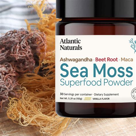 Sea Moss Powder: What it is and how it benefits you