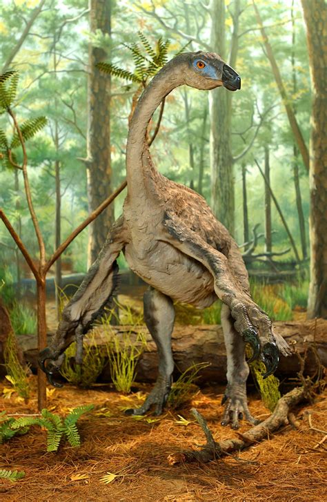 Dinosaurs: Ancient Fossils, New Discoveries | Museum of Science, Boston