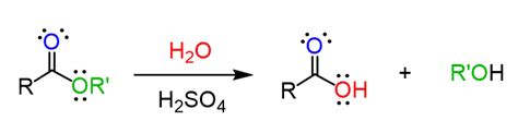 Ester Hydrolysis: Acid and Base-Catalyzed Mechanism - Chemistry Steps