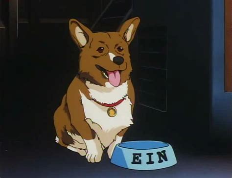 Pembroke Welsh Corgi | Cowboy Bebop Wiki | Fandom