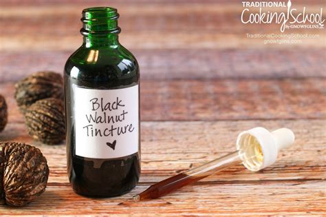 How to Make a Black Walnut Tincture | Recipe | Black walnut tree, Tinctures, Black walnuts