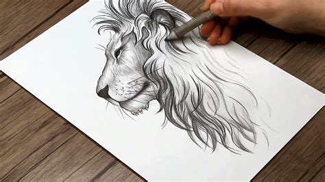 Lion Drawing Face