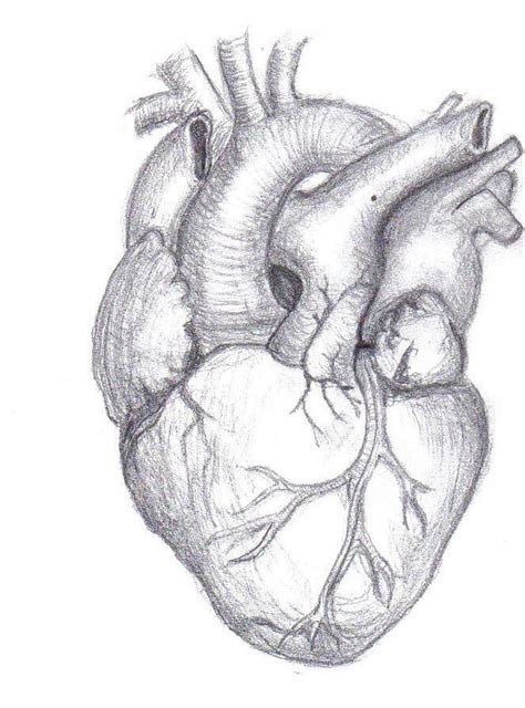 Pencil Drawing Of A Heart