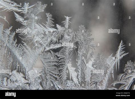 variety of frost patterns on a winter window Stock Photo - Alamy