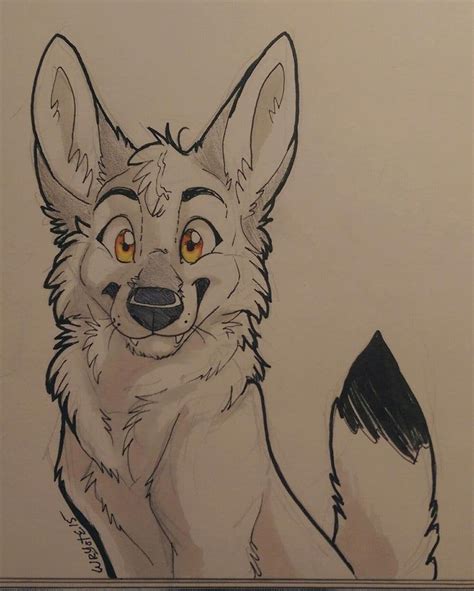 Very cute coyote drawing form @Wryote on Twitter :3 : furry