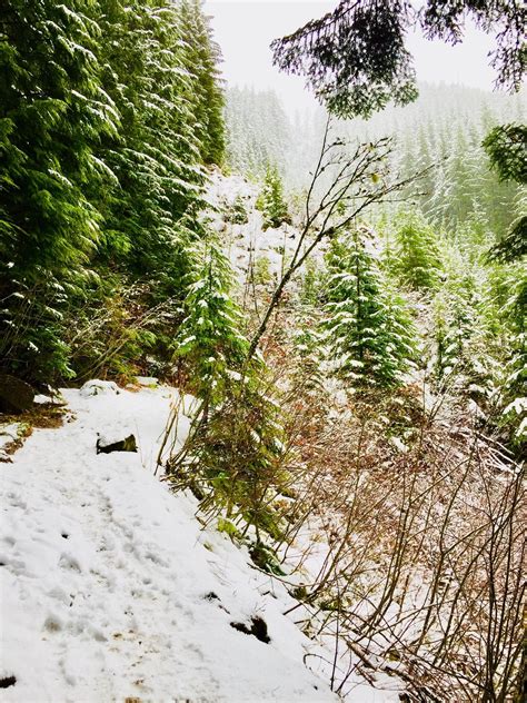 Hiking in snow in Washington State — MyFitnessPal.com