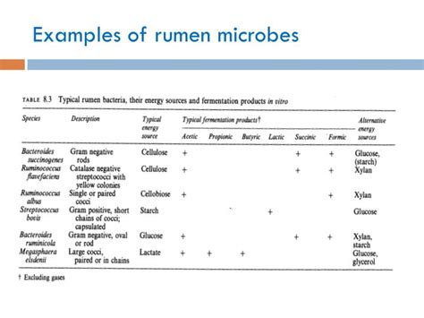 PPT - Rumen microbes PowerPoint Presentation - ID:2316244