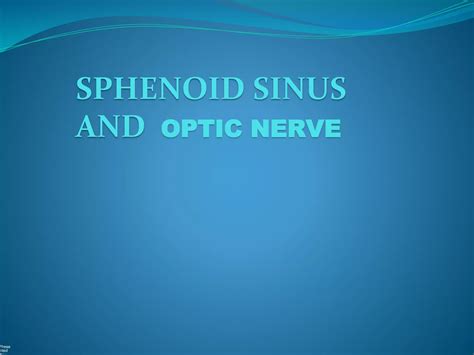 Sphenoid sinus and optic nerve | PPT