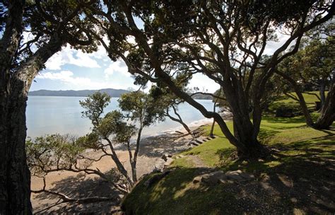 Coopers Beach, Northland, New Zealand | New zealand, Northland, Beach