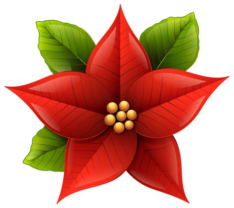 Free Poinsettia Flower Cliparts, Download Free Poinsettia Flower Cliparts png images, Free ...