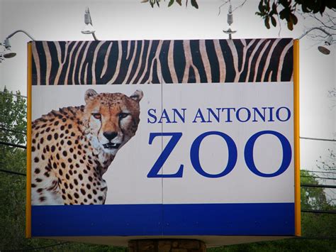 The Crawford Diary: San Antonio Zoo