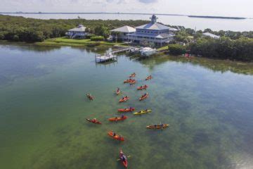 Tampa Bay Watch – Tierra Verde Florida