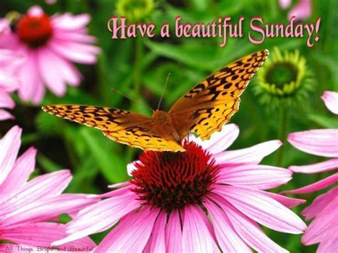 Have a beautiful Sunday sunday sunday quotes happy sunday sunday ...