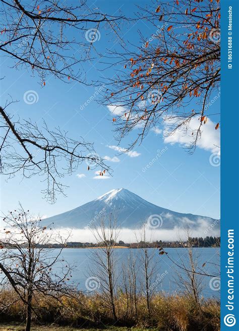 Mount Fuji View from Lake Kawaguchi. Stock Photo - Image of nature ...