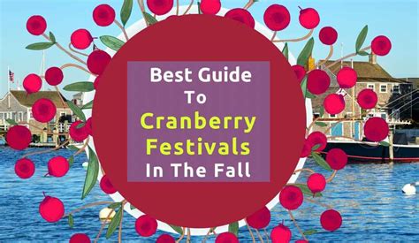 Cranberry Festivals: A simple guide in the Fall of 2023