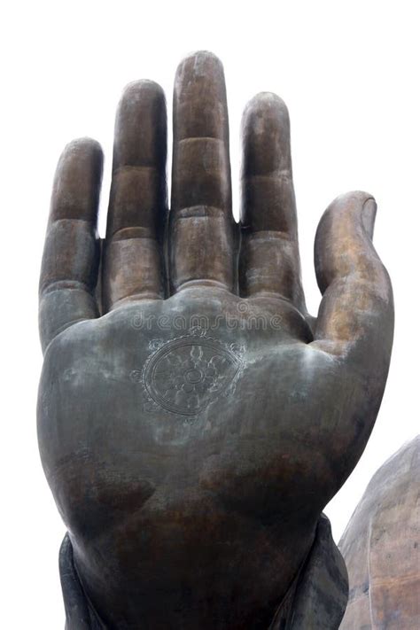 Buddha's hand stock photo. Image of hand, east, serenity - 3344974