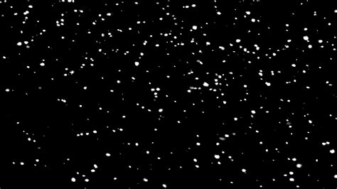 Winter Snowfall: Serene Looping Animation Stock Motion Graphics SBV ...