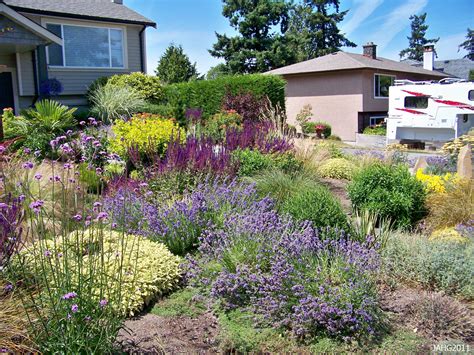 43 Front Yard Landscaping Drought Tolerant Xeriscaping https://silahsil… | Drought resistant ...