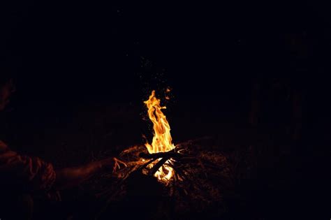 Premium Photo | Bonfire at night