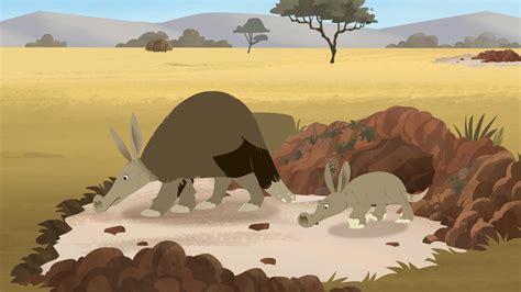 Aardvark | Wild Kratts | PBS LearningMedia