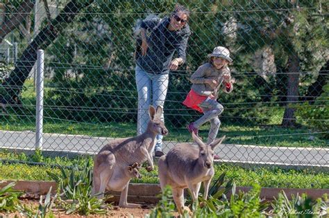 Tickets & Tours - Pafos Zoo, Paphos - Viator