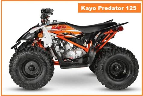 2024 Kayo Predator 125 Top Speed, Specs, Price, Review