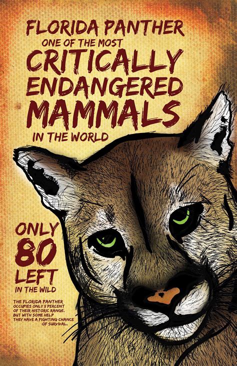 Endangered animal species poster | Icon PNG