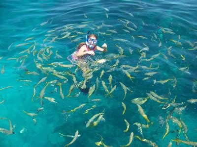 Aye Bone Fishing: Snorkeling Sombrero Reef June 1, 2009