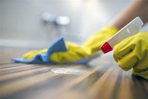 cleaning-spray – S&M FOOD SERVICES