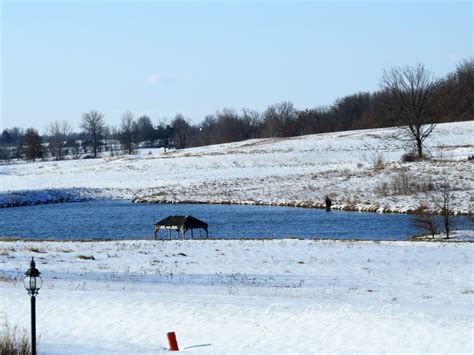 Lynne's Gifts From the Heart: ~ Winter Lake