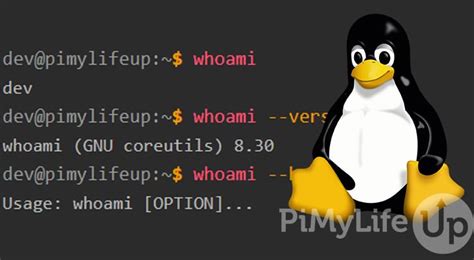 What is the whoami Command on Linux - Pi My Life Up