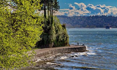 Stanley Park Seawall and Skyline Stock Photo - Image of trees, harbor: 178602154