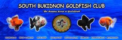 South Bukidnon Goldfish Market