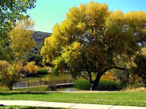 Fain Park, Prescott, AZ by darlenej529, via Flickr | Summer pictures, Prescott, Picture