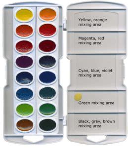 Watercolor Sets for Kids • John Muir Laws