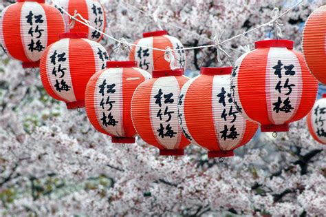 Where to See Cherry Blossom in Japan - Real Word