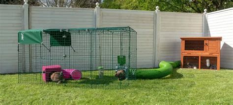 Best Outdoor Rabbit Run | Buyers Guide and Review | Hutch and Cage