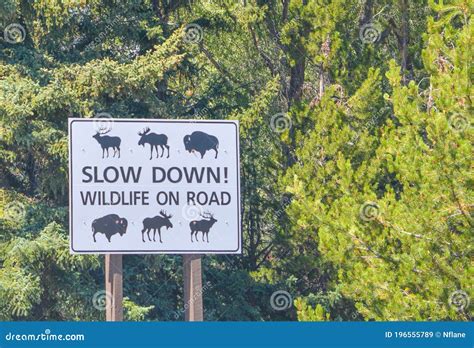 A Sign Warning Slow Down, Wildlife on the Road in Grand Teton National ...