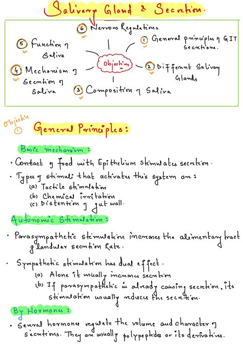 SOLUTION: 2 salivary gland and secretion - Studypool